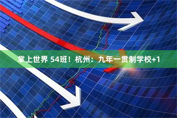 掌上世界 54班！杭州：九年一贯制学校+1