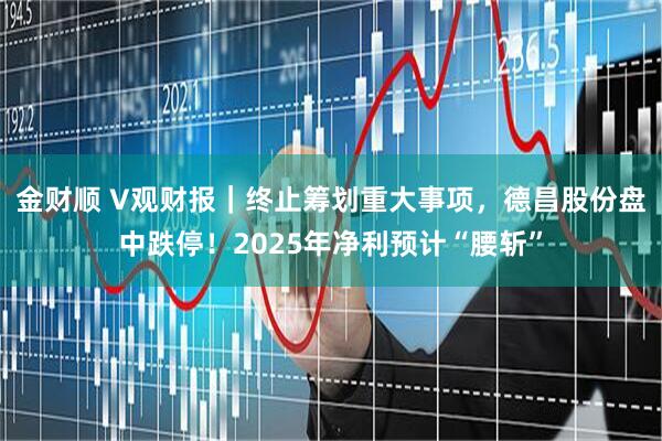金财顺 V观财报｜终止筹划重大事项，德昌股份盘中跌停！2025年净利预计“腰斩”