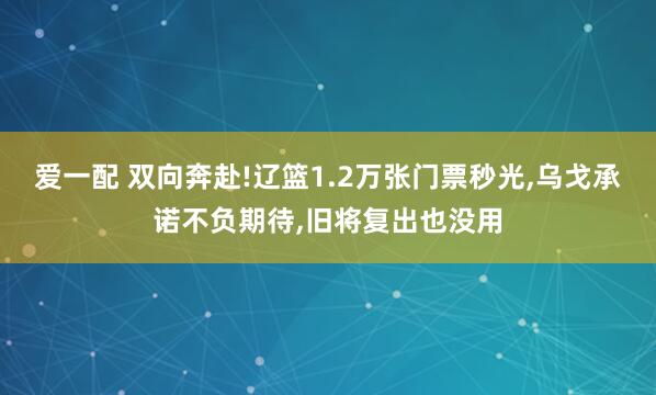 爱一配 双向奔赴!辽篮1.2万张门票秒光,乌戈承诺不负期待,旧将复出也没用