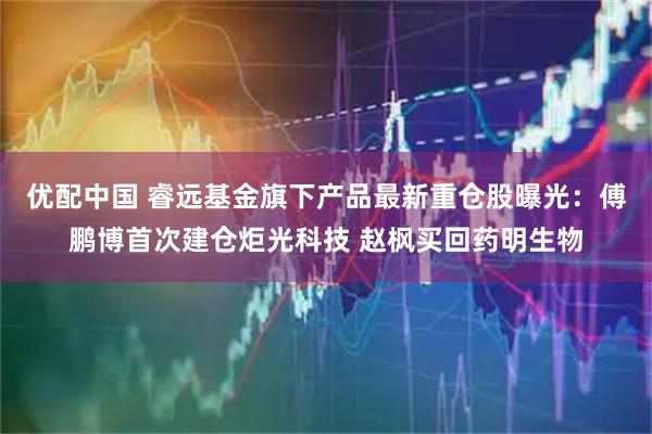 优配中国 睿远基金旗下产品最新重仓股曝光:傅鹏博首次建仓炬光科技 赵枫买回药明生物