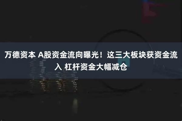 万德资本 A股资金流向曝光!这三大板块获资金流入 杠杆资金大幅减仓